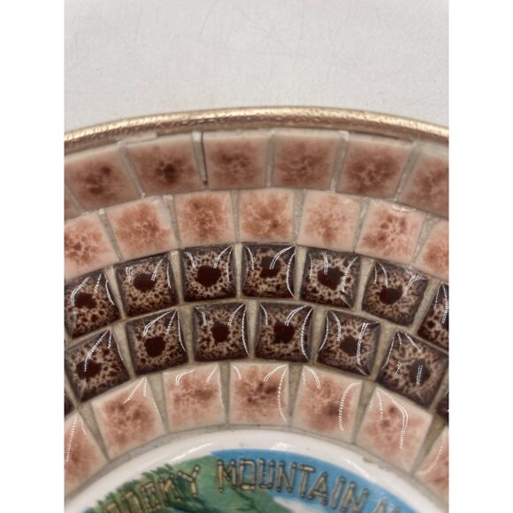 Vintage Rocky Mountain National Park Souvenir Plate Scenic Design Textured Gold - Picture 9 of 10